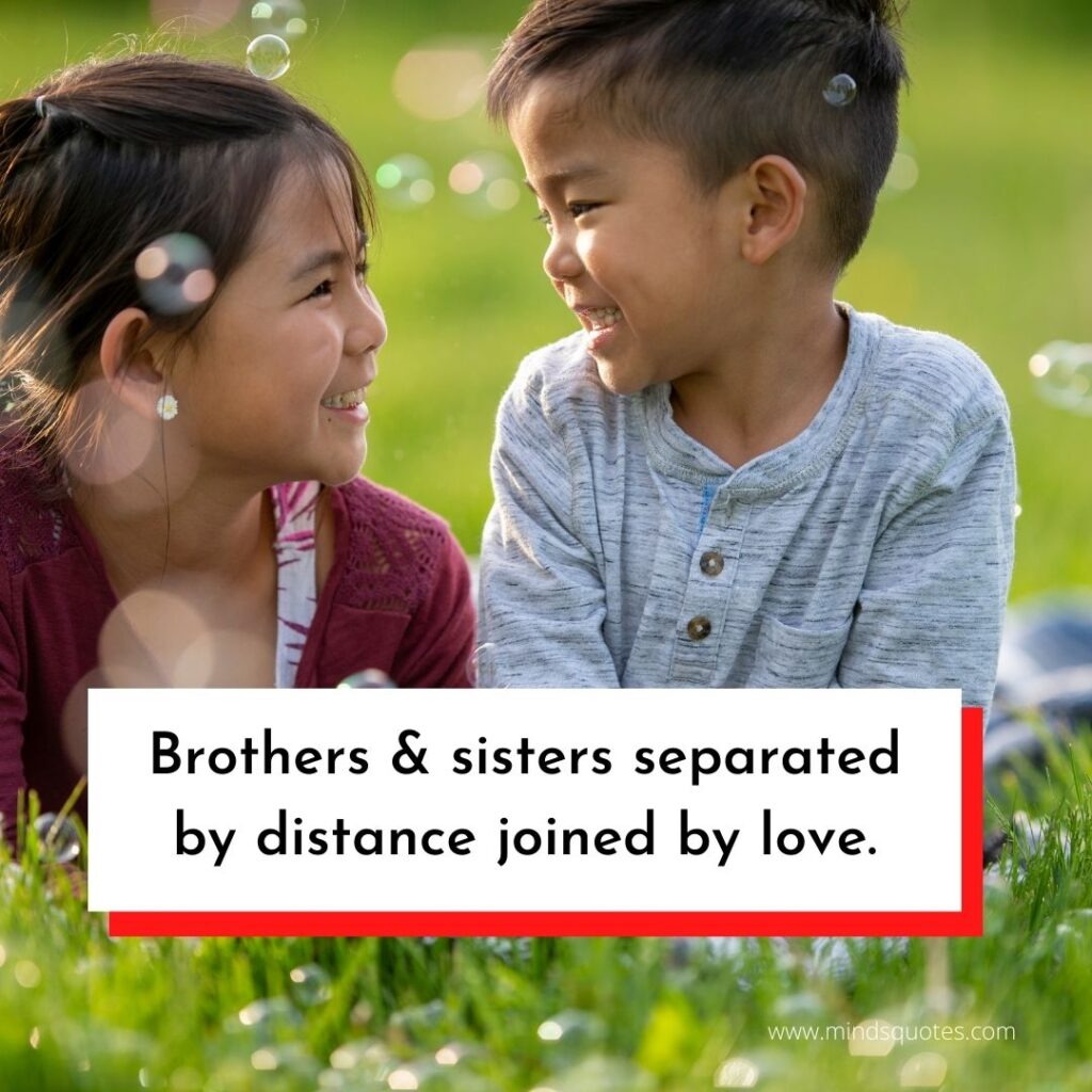 120 BEST Brother and Sister Quotes to Bond You Closer Together 13 brother and sister quote