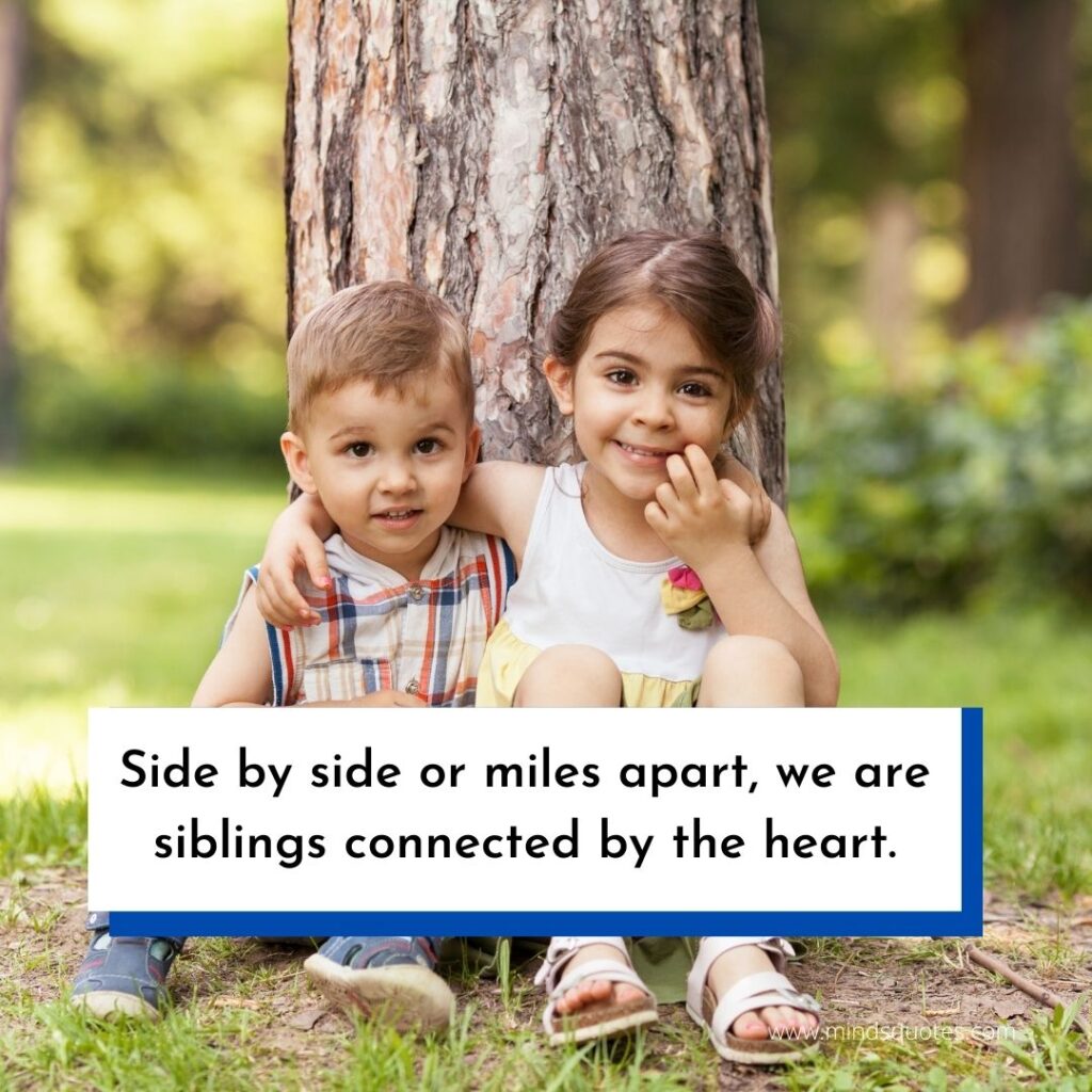 120 BEST Brother and Sister Quotes to Bond You Closer Together 15 Brother Sister Love Quotes