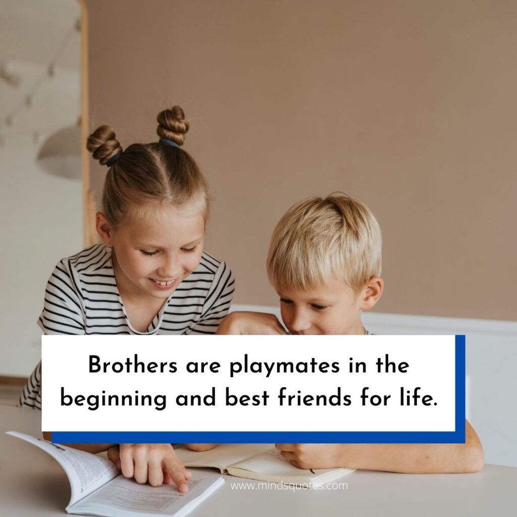 120 BEST Brother and Sister Quotes to Bond You Closer Together 21 Brother and Sister Status