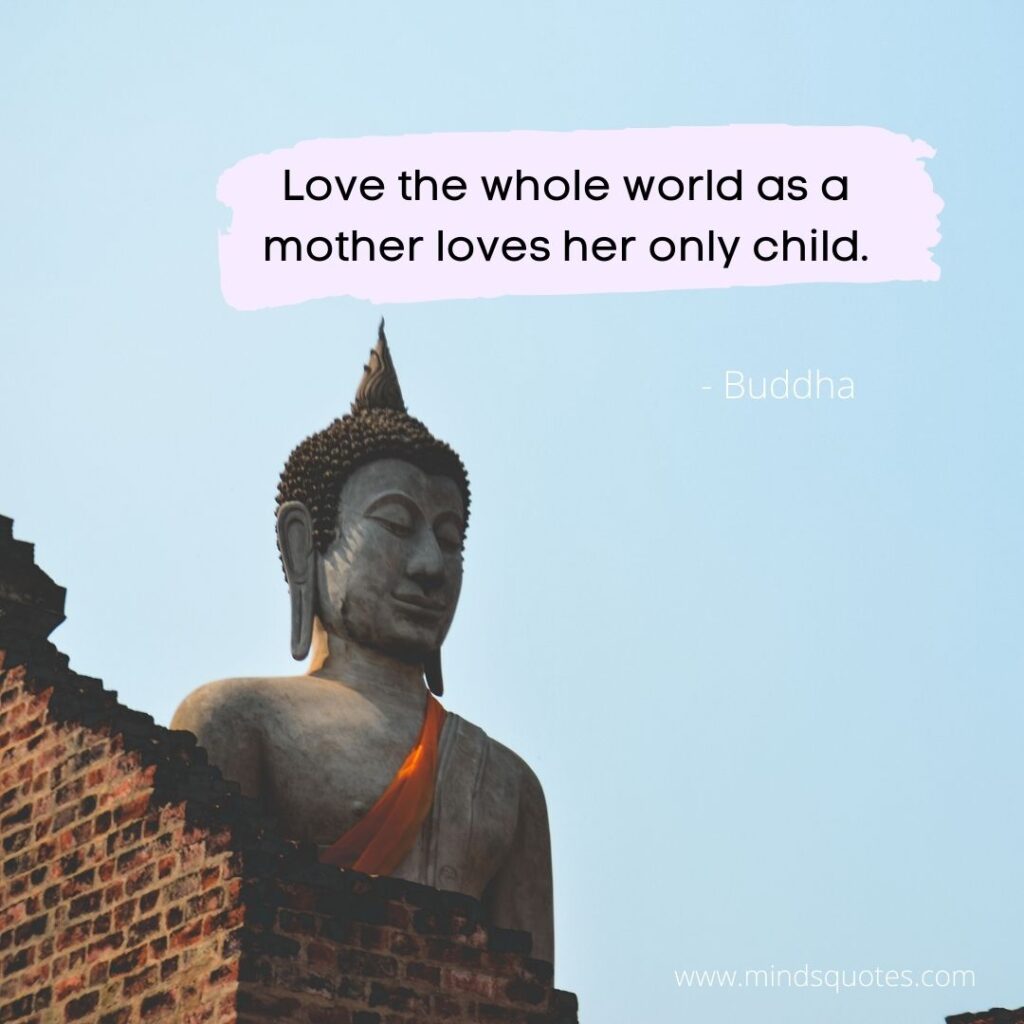 80 Gautam Buddha Quotes That Will Change Your Life Forever 14 Buddha Quotes on Love