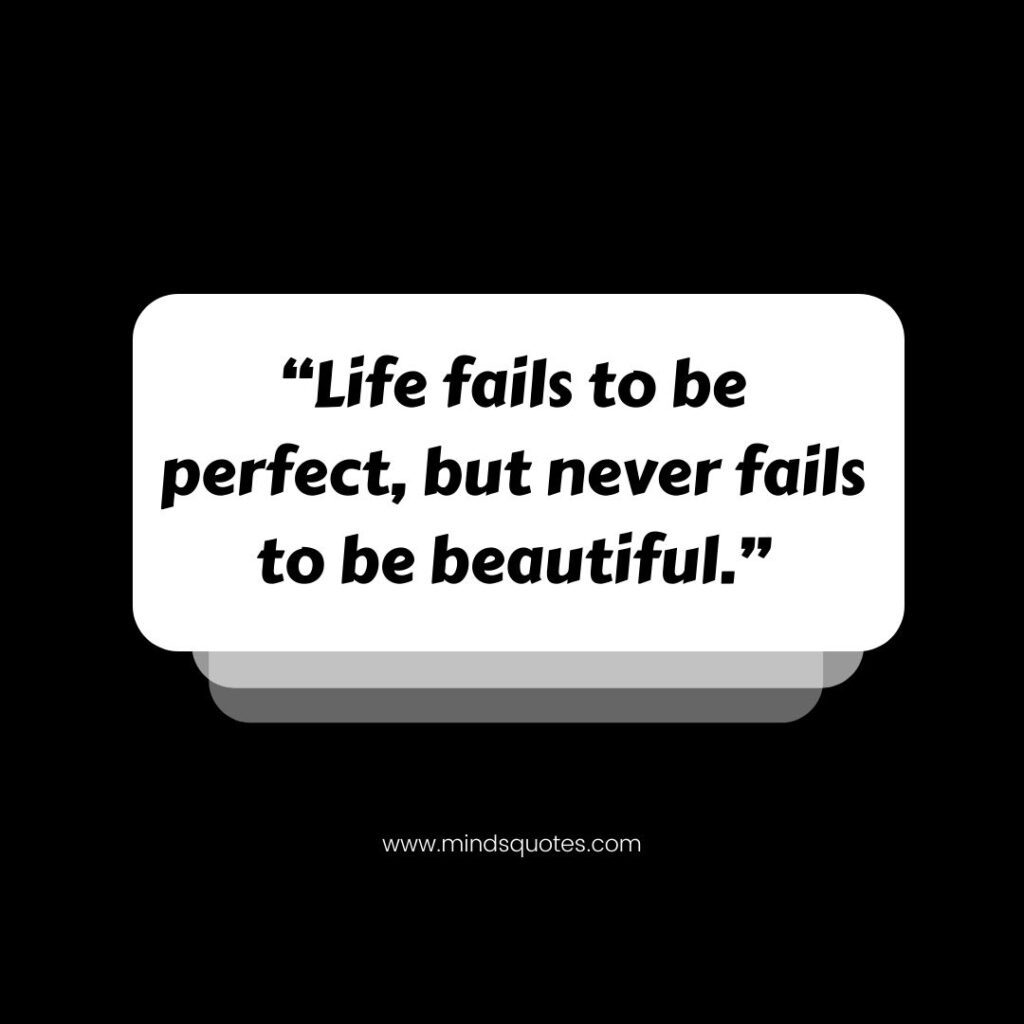 87 Inspiring Calligraphy Quotes for Drawing, Motivation 10 Calligraphy Quotes on Life