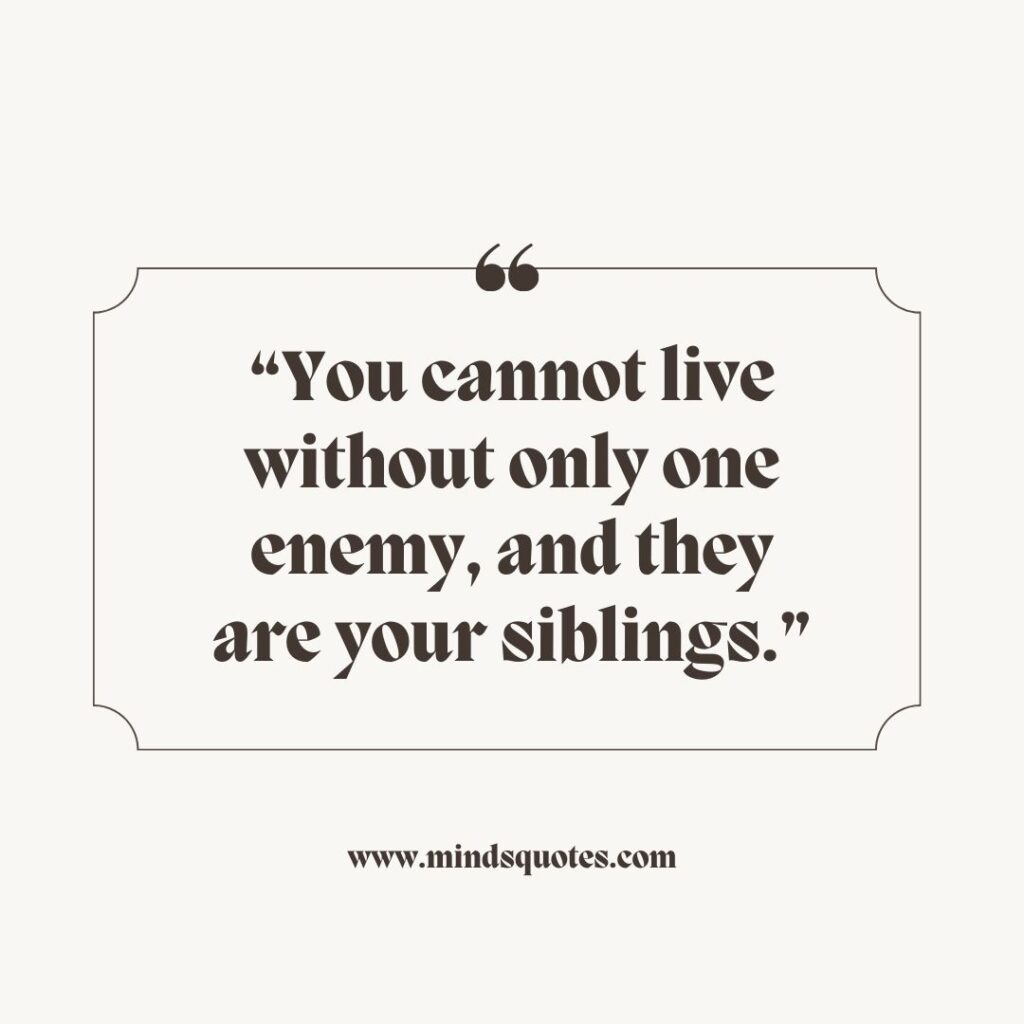 87 BEST Hilarious Brother Sister Funny Quotes With Images 11 Fighting Brother and sister Funny Quotes