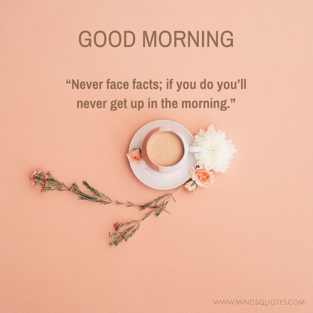 50 BEST Good Morning Images with Quotes for WhatsApp FREE 14 Funny good morning images with quotes for WhatsApp
