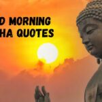 70 Best Good Morning Buddha Quotes To Bring You Peace