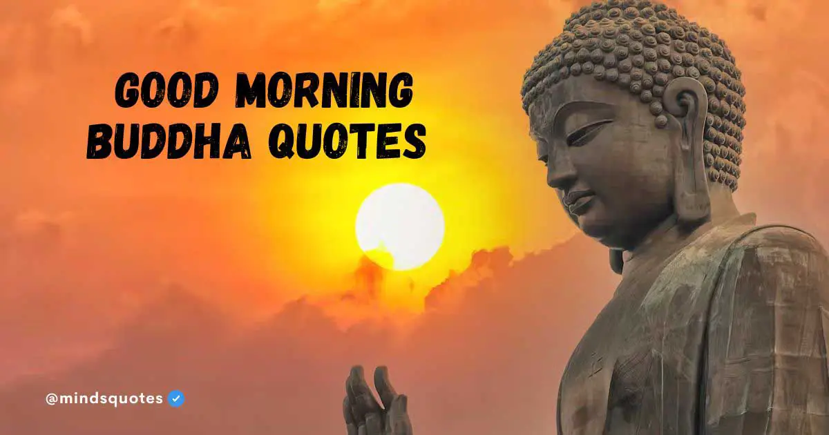 70 Best Good Morning Buddha Quotes To Bring You Peace