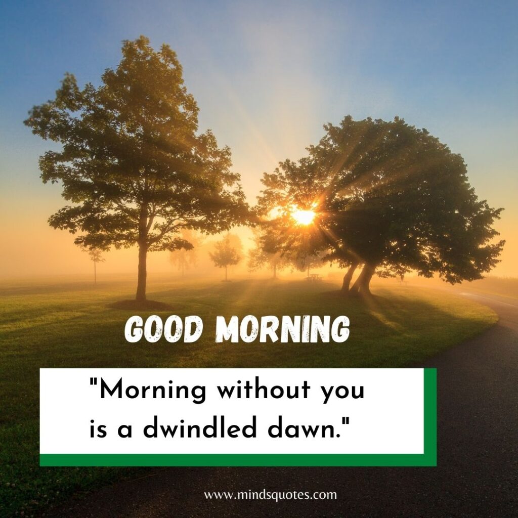 57+ BEST Good Morning Status With Images for WhatsApp 28 Good Morning Images for WhatsApp status