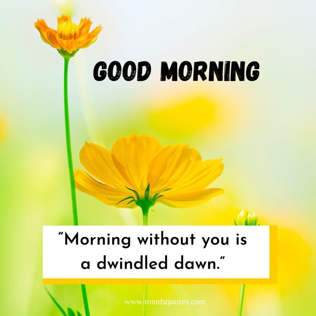 Good Morning Images for WhatsApp status