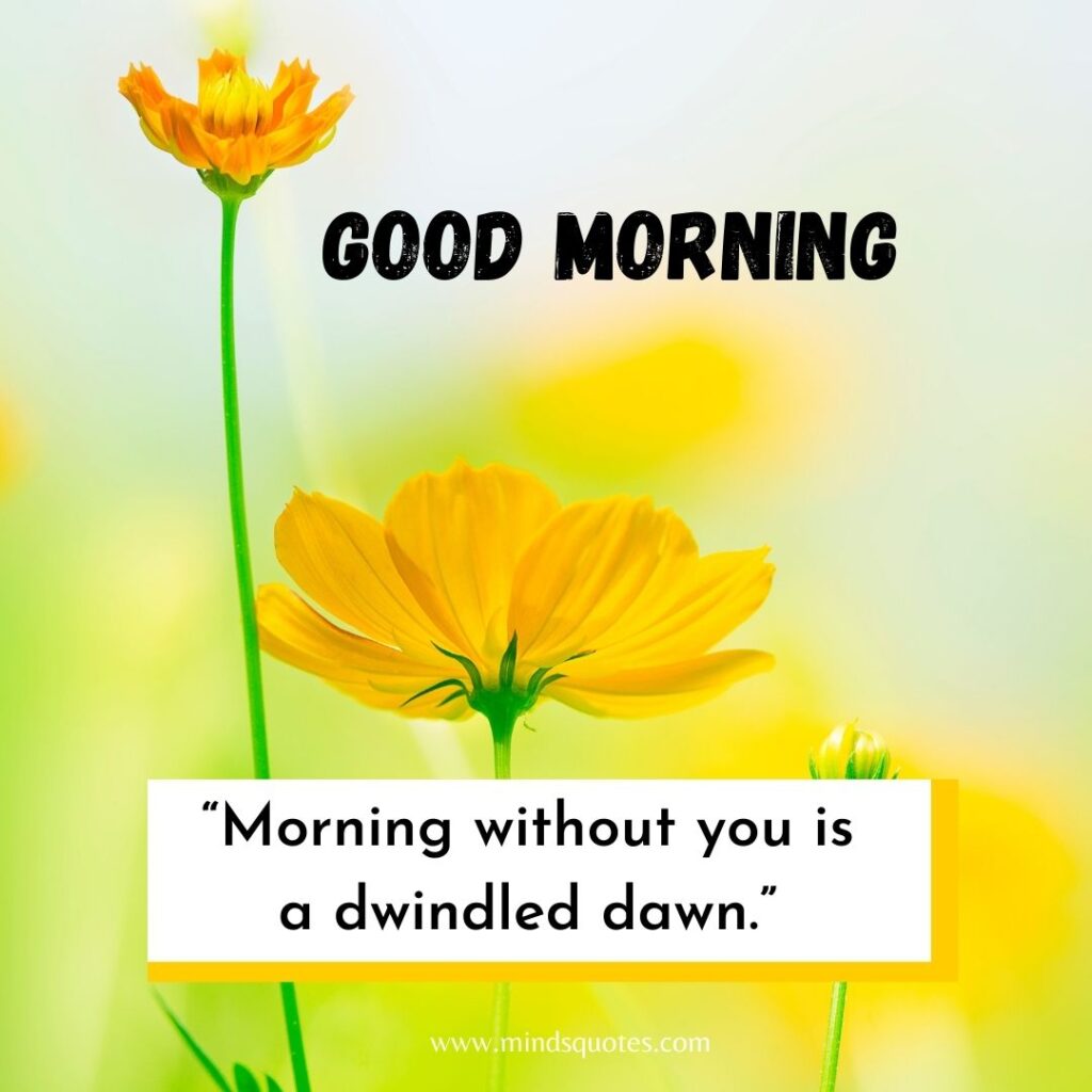 57+ BEST Good Morning Status With Images for WhatsApp 22 Good Morning Images for WhatsApp status