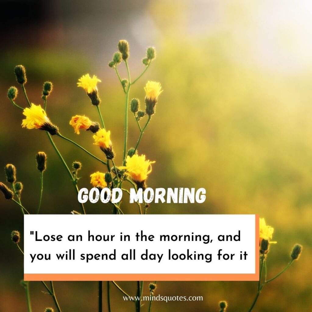 57+ BEST Good Morning Status With Images for WhatsApp 26 Good Morning Images for WhatsApp status
