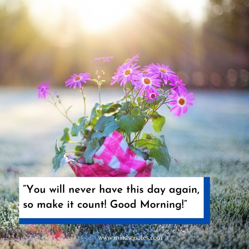 57+ BEST Good Morning Status With Images for WhatsApp 27 Good Morning Images for WhatsApp status