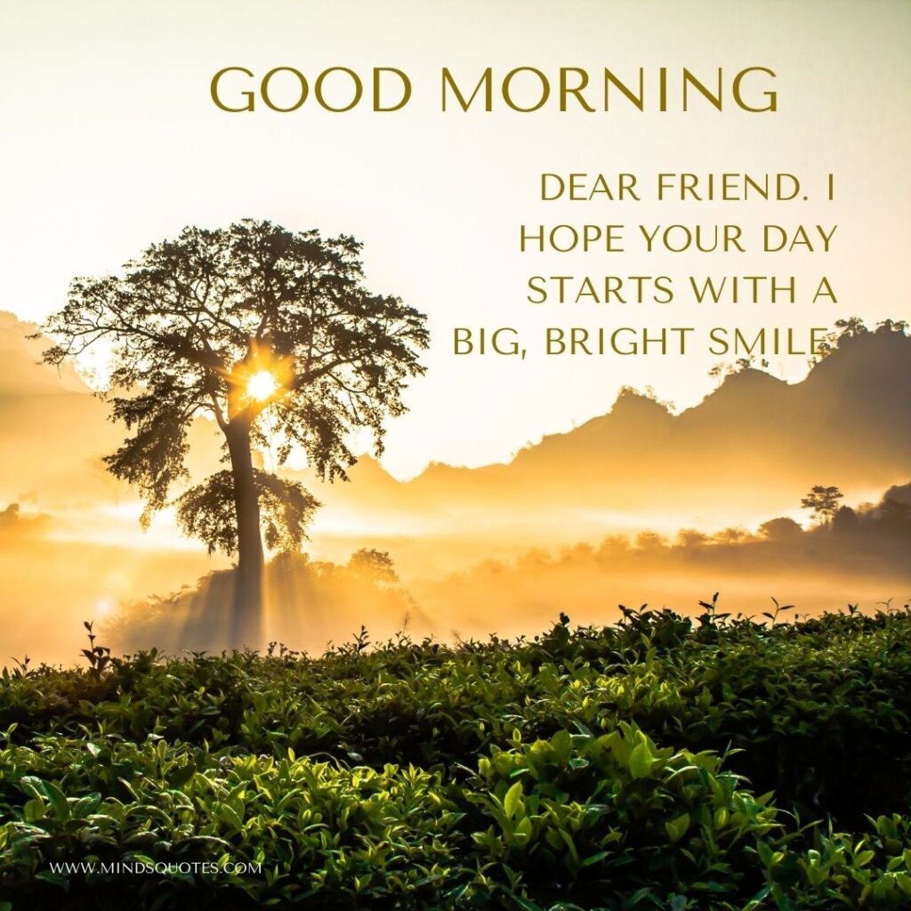 65+ BEST Good Morning Message To a Friend 4 Good Morning Message to My Friend