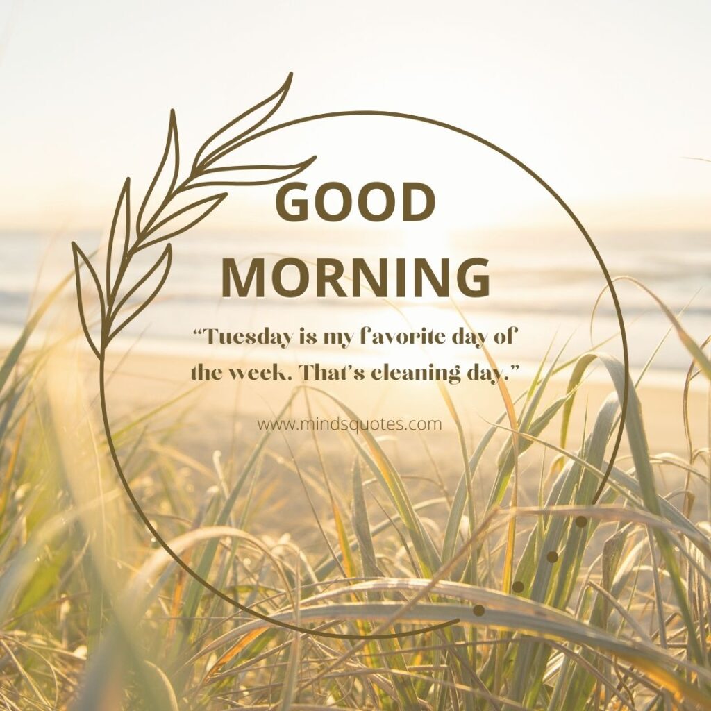 125 BEST Good Morning Tuesday Quotes and images 8 Good Morning Tuesday Quotes