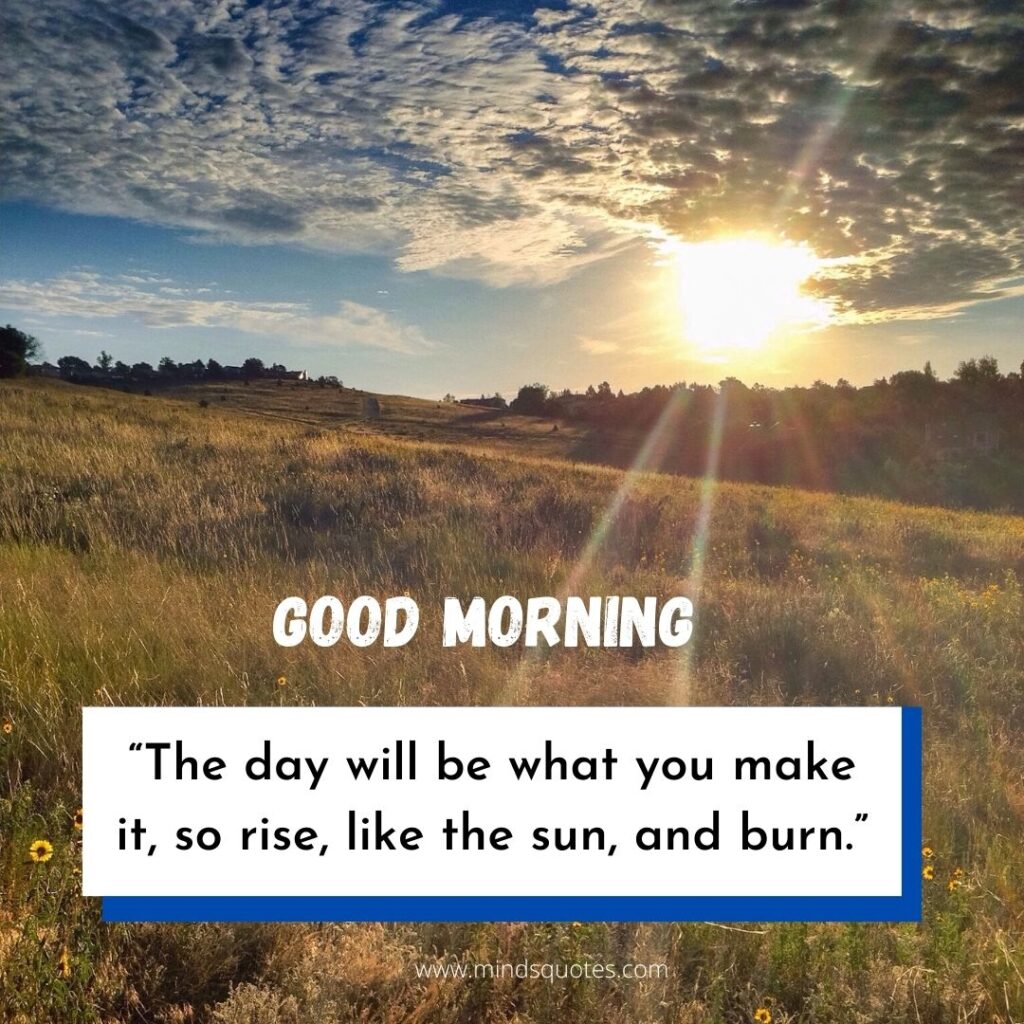 57+ BEST Good Morning Status With Images for WhatsApp 2 Good Morning status