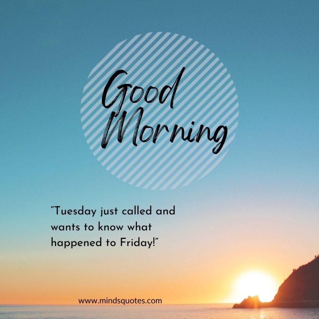 125 BEST Good Morning Tuesday Quotes and images 20 “I wish this Tuesday was Friday.”