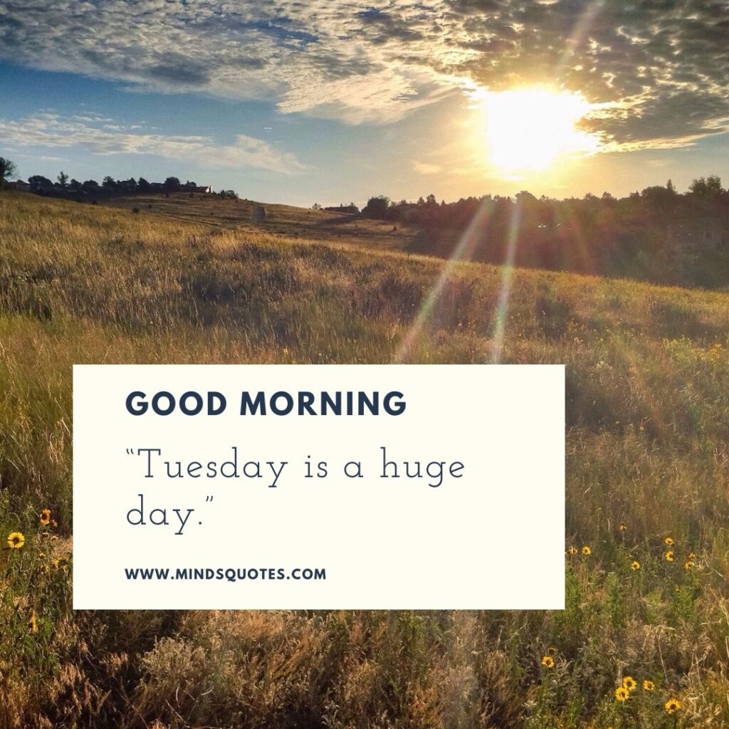 125 BEST Good Morning Tuesday Quotes and images 5 Good morning Tuesday Quotes
