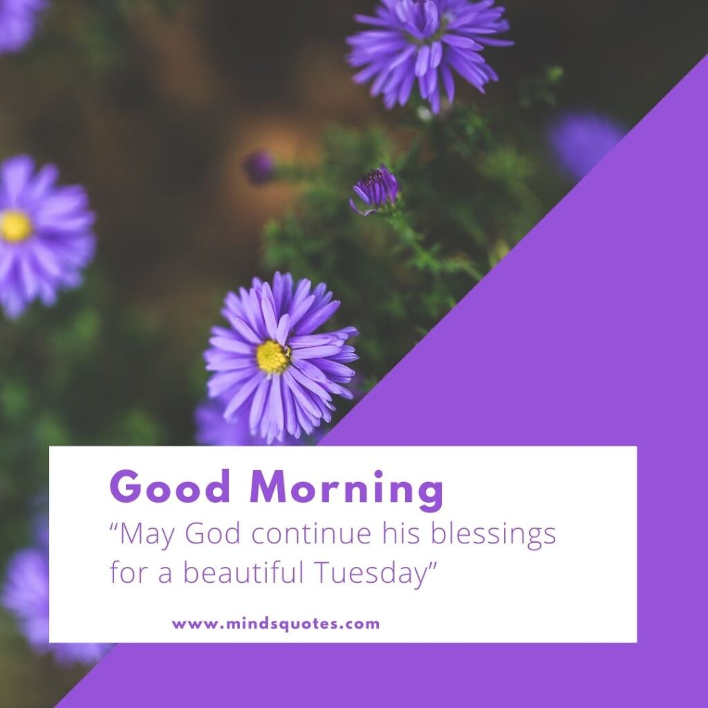125 BEST Good Morning Tuesday Quotes and images 16 Good morning Tuesday blessings