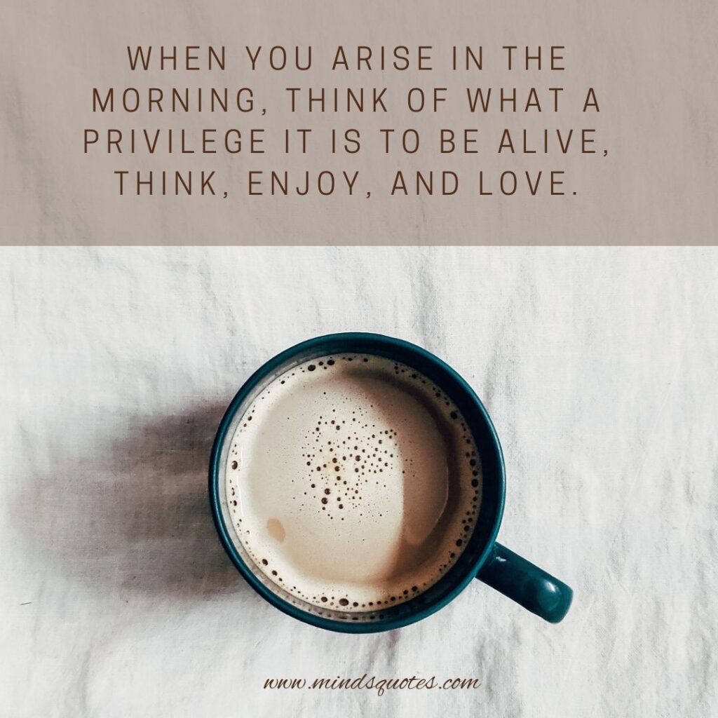 50 BEST Good Morning Images with Quotes for WhatsApp FREE 8 Good morning images for WhatsApp status