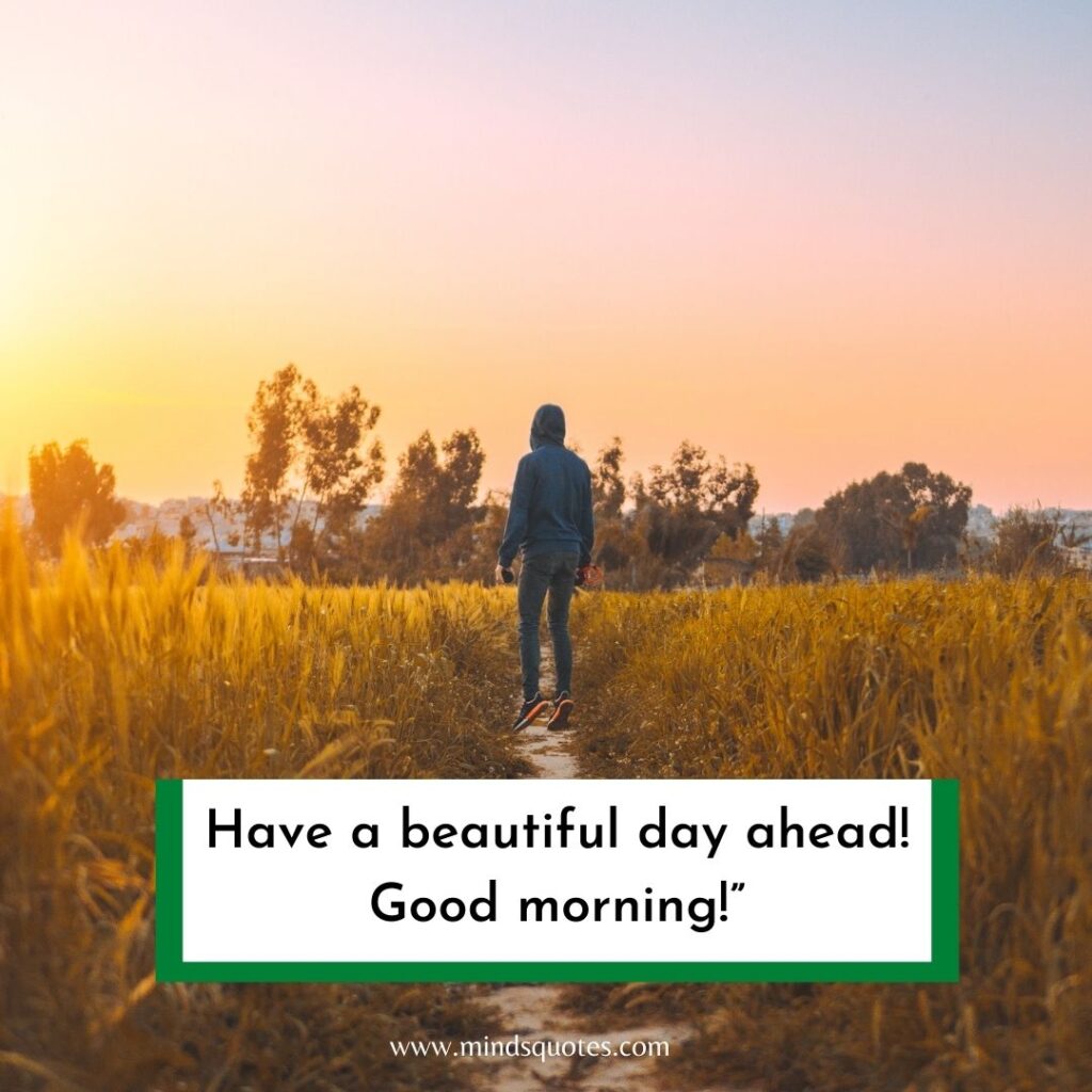 57+ BEST Good Morning Status With Images for WhatsApp 13 Good morning status in English