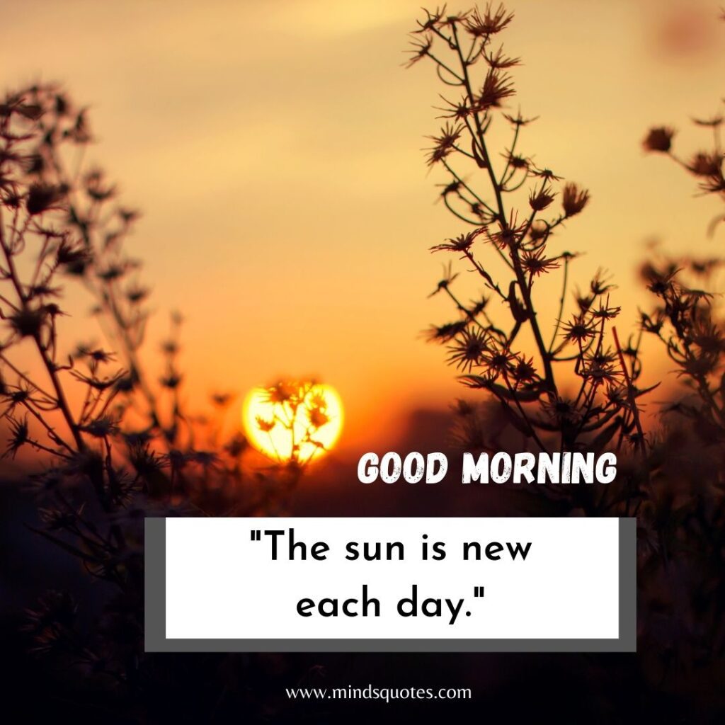 57+ BEST Good Morning Status With Images for WhatsApp 17 Good morning status in English