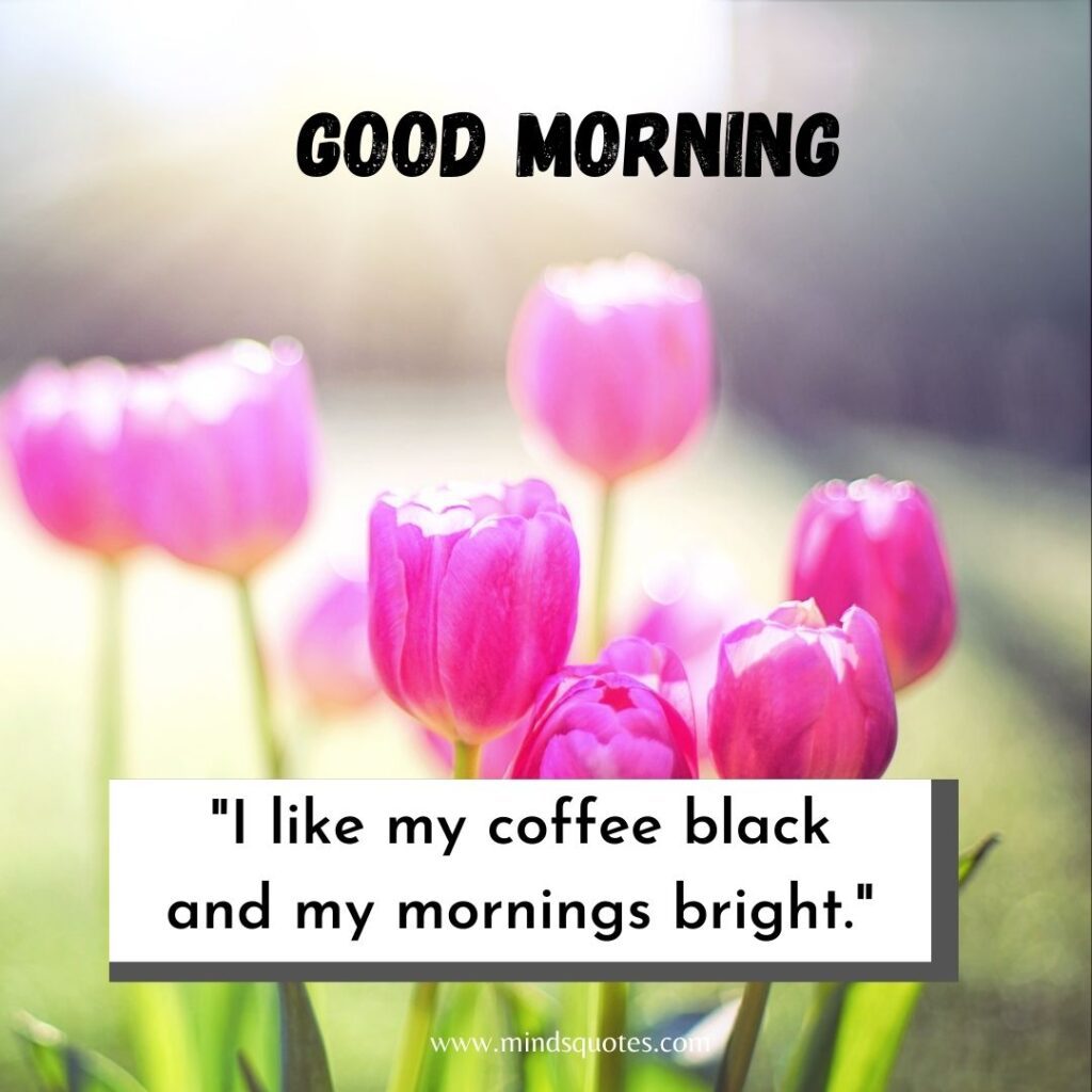 57+ BEST Good Morning Status With Images for WhatsApp 18 Good morning status in English
