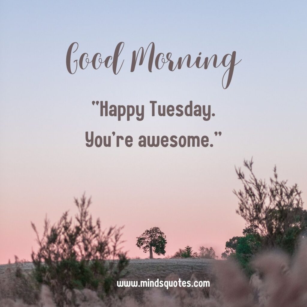Happy Tuesday images and quotes