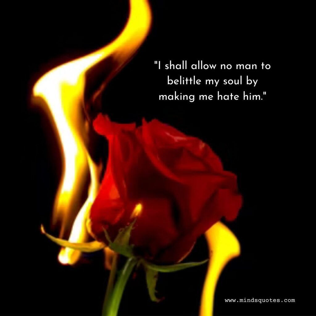 70 Inspiring Hate Life Quotes That Will Make You Feel Better 4 Hate Life Quotes