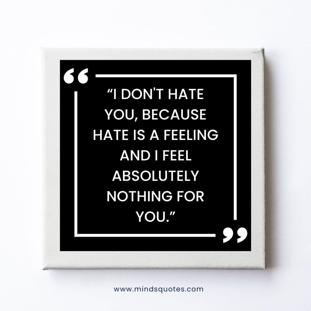 67 Haters Gonna Hate Quotes To Help You Deal With Negativity 2 Haters Gonna Hate Quotes