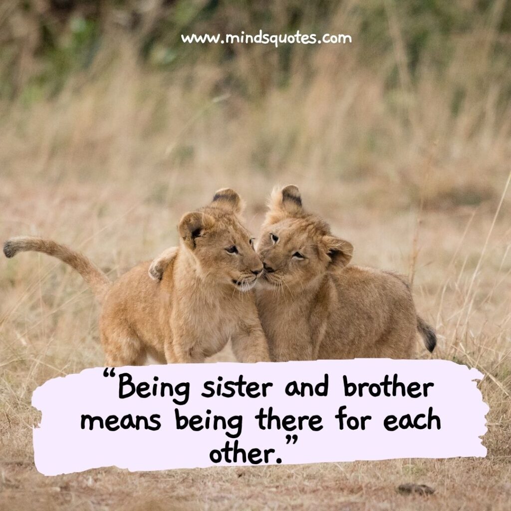 Heart Touching Emotional Brother and Sister Quotes With Image