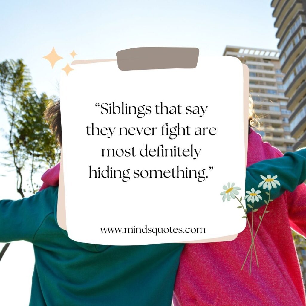 87 BEST Hilarious Brother Sister Funny Quotes With Images 10 Siblings Funny Quotes