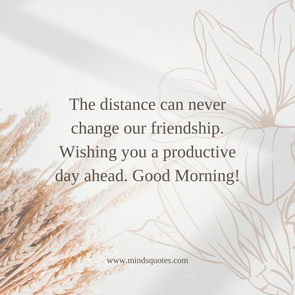 127 Popular Sweet Good Morning Message For Love, HER, HIM 14 Sweet Good Morning Message for a friend