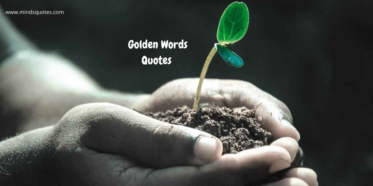 75+ BEST Golden Words Quotes in English
