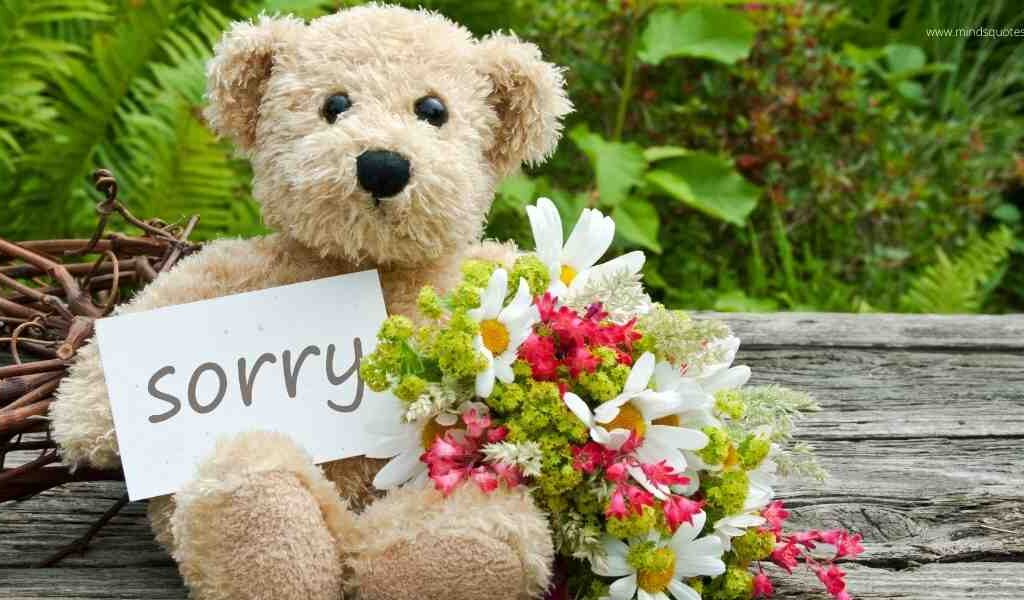 75+ BEST Sorry Quotes For Hurting You