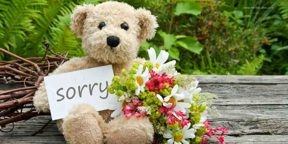 75+ BEST Sorry Quotes For Hurting You