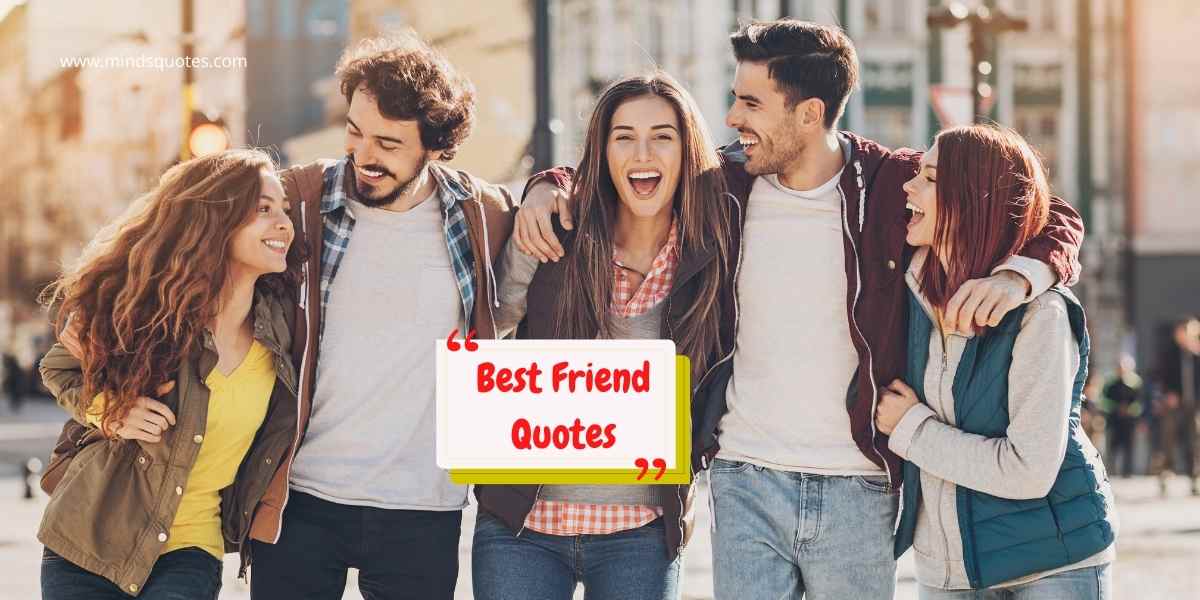 75 Best Friend Quotes In English To Show Your Appreciation