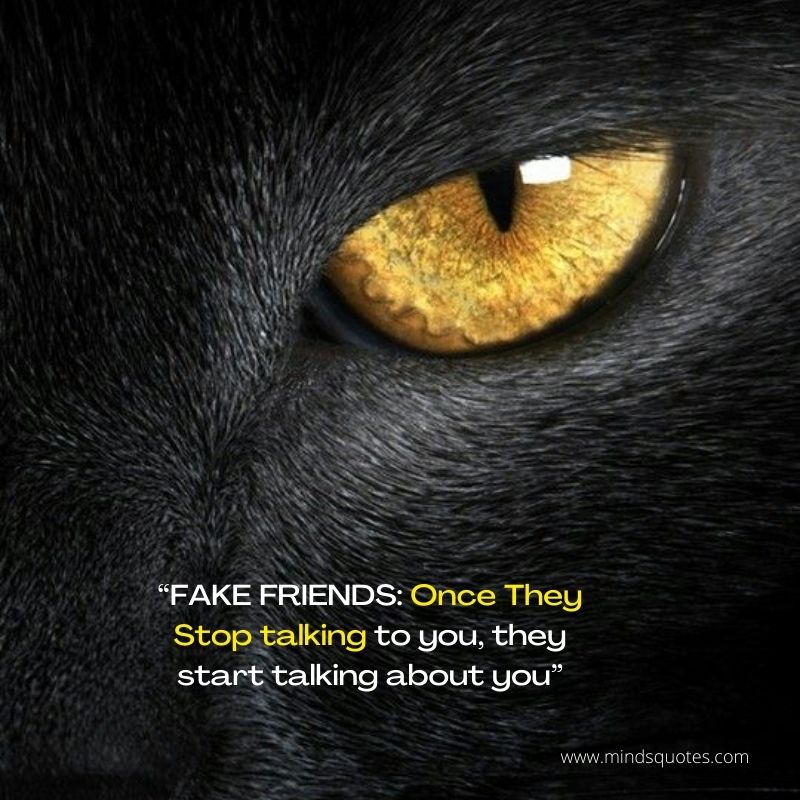 Attitude Quotes for Fake Friends in English