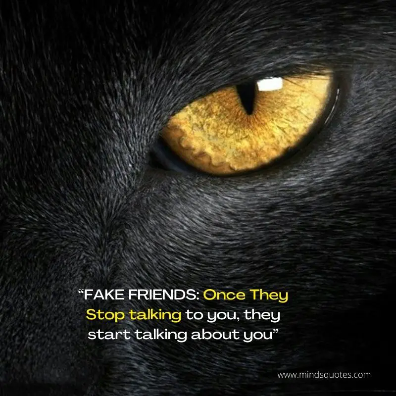 77+ BEST Attitude Quotes for Fake Friends in English 7 Attitude Quotes for Fake Friends in English
