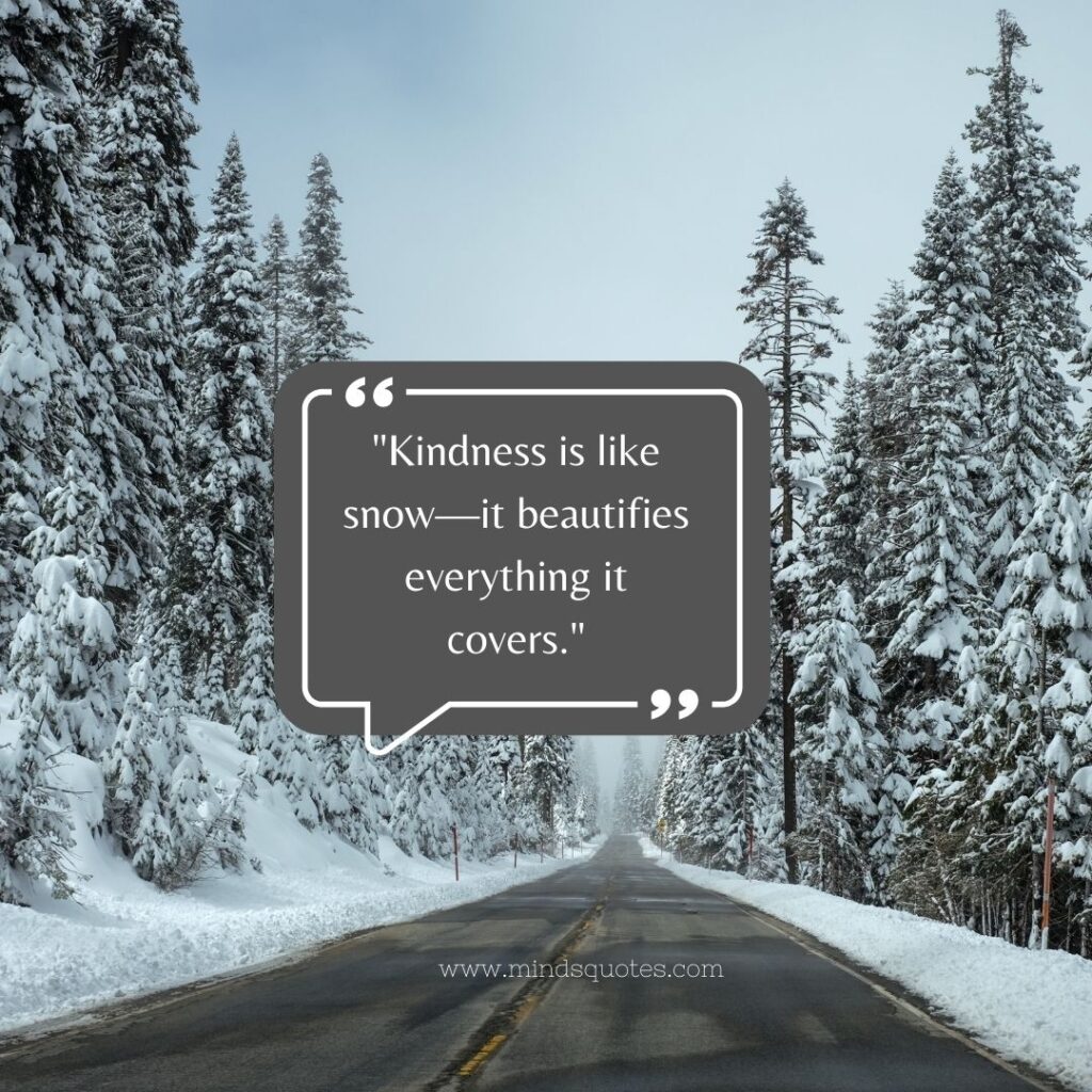 Beautiful Enjoy Snow Quotes
