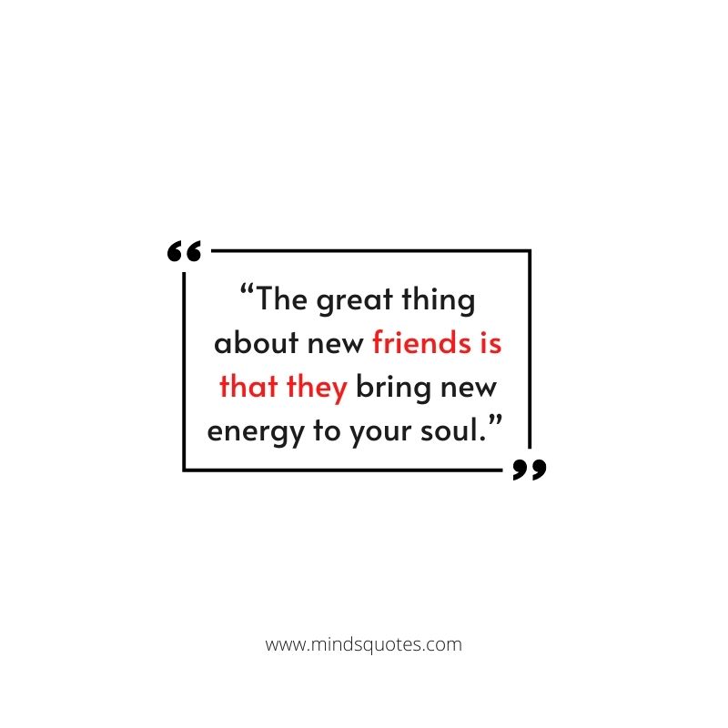 75 Best Friend Quotes In English To Show Your Appreciation 11 Best Friend Quotes for Whatsaap and Facebook