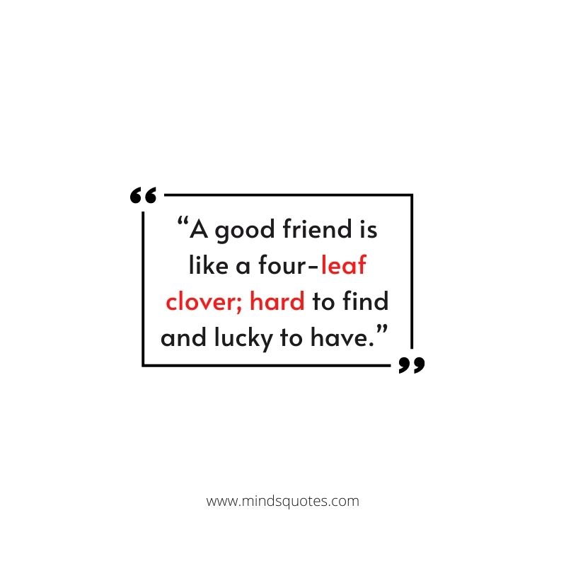 Best Friends Forever Quote