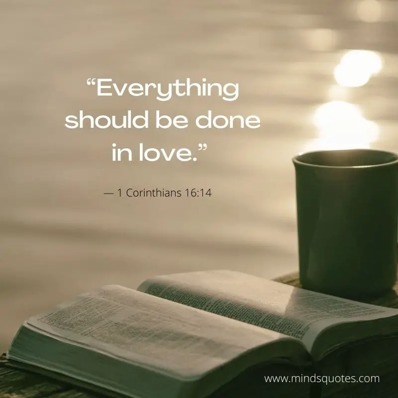 100 Bible Quotes A Timeless Source of Inspiration and Wisdom 2 Bible Quotes