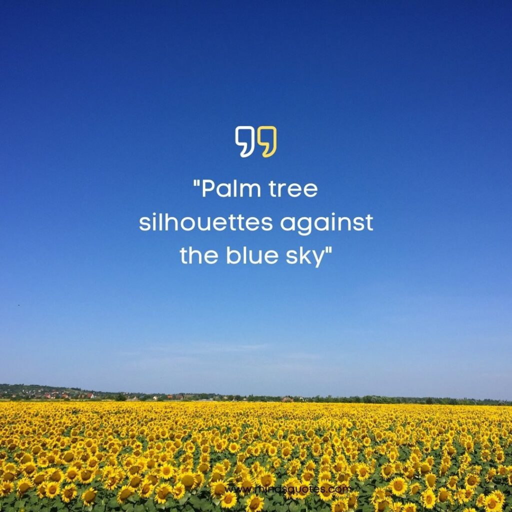 Blue Sky captions for Instagram short