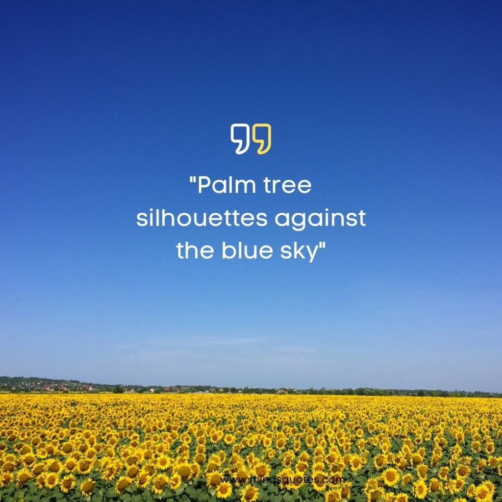 75 Most Beautiful Blue Sky Quotes To Brighten Your Day 16 Blue Sky captions for Instagram short