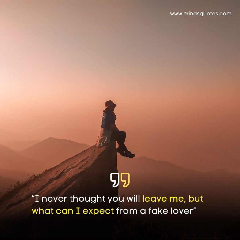 125+ BEST Fake Love Status for Whatsapp With Images 5 Fake Love Status