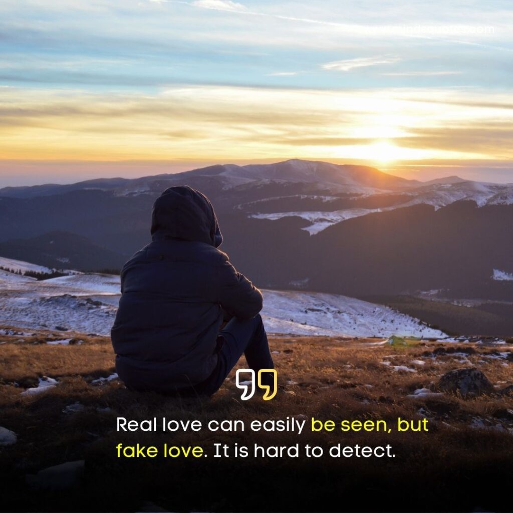 125+ BEST Fake Love Status for Whatsapp With Images 13 Fake Love Status for Whatsapp