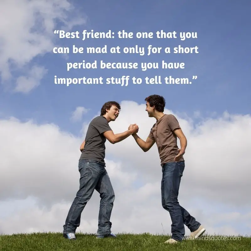 78+ BEST Happy Friendship Day Quotes in English 14 Friendship Day Quotes for Best Friend