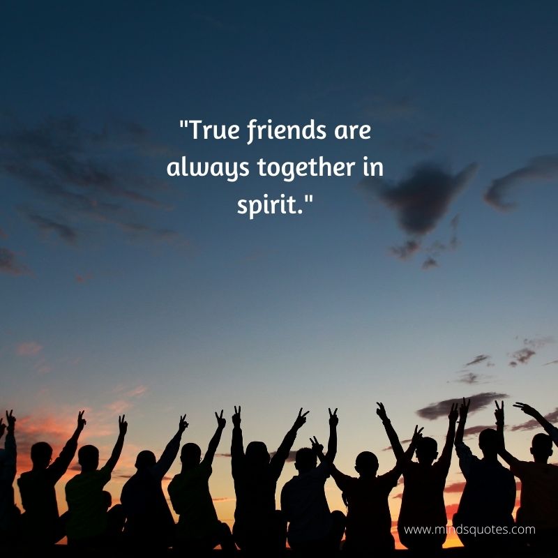 Friendship Day Quotes in English