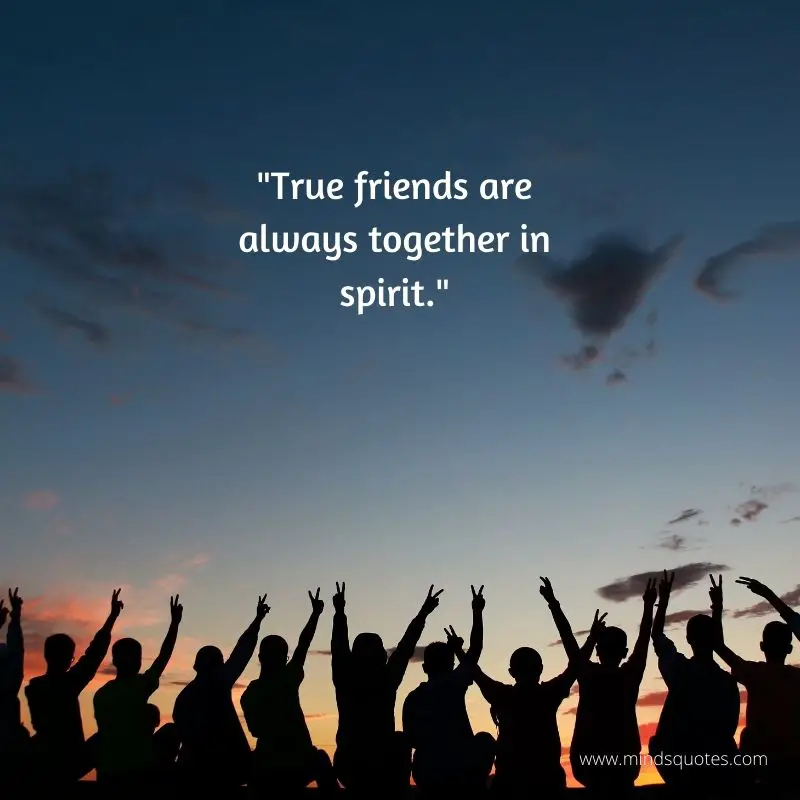 78+ BEST Happy Friendship Day Quotes in English 6 Friendship Day Quotes in English