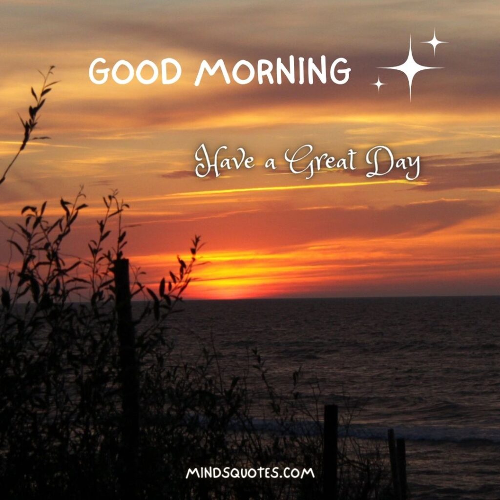 50 Good Morning Have a Nice Day Images Make It a Great Day 8 Good Morning Have a Great Day