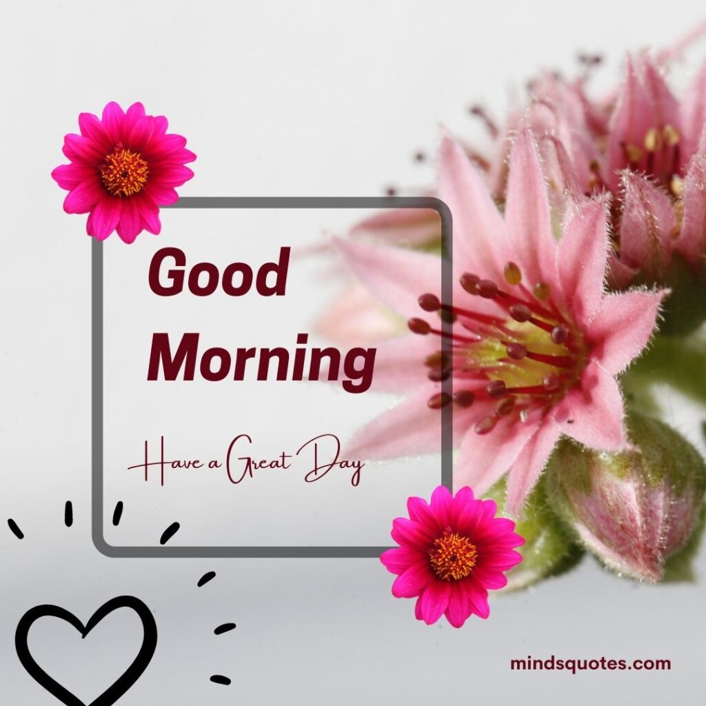 50 Good Morning Have a Nice Day Images Make It a Great Day 9 Good Morning Have a Great Day