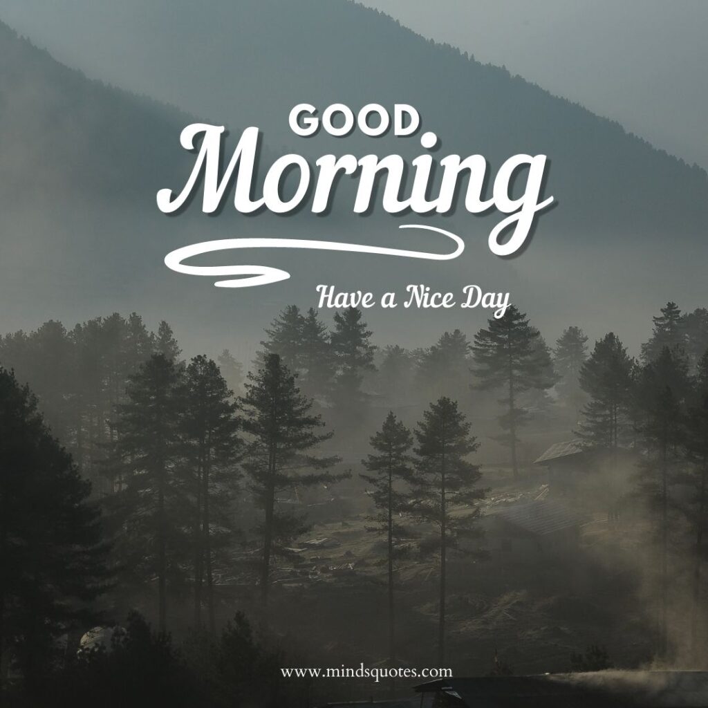 Beautiful Good Morning Have A Nice Day Images [2023]